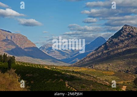 Blick über das Grootkloof Valley in der Cederberg Wilderness Area, Western Cape. Südafrika Stockfoto