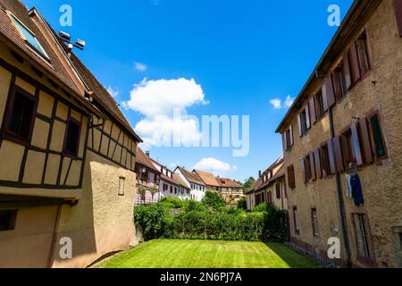 Bergheim, eine kleine Stadt an der Route des Vins im Elsass mit mittelalterlichen Gebäuden, einer Verteidigungsmauer und einer schönen Atmosphäre Stockfoto
