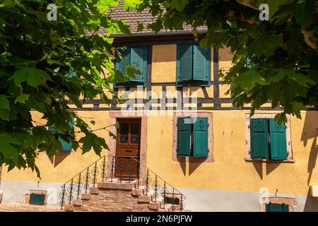 Bergheim, eine kleine Stadt an der Route des Vins im Elsass mit mittelalterlichen Gebäuden, einer Verteidigungsmauer und einer schönen Atmosphäre Stockfoto