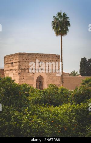 Die komplexe Architektur von Marrakesch, Marokko, wird inmitten des pulsierenden Grüns der Orangenbäume zum Leben erweckt. Ihre duftenden Blüten verleihen Ihnen einen Hauch Stockfoto