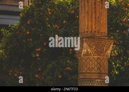 Die komplexe Architektur von Marrakesch, Marokko, wird inmitten des pulsierenden Grüns der Orangenbäume zum Leben erweckt. Stockfoto