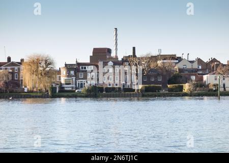 Fuller's Brewery Chiswick - Fuller, Smith & Turner Griffin Brewery in Chiswick, Südwest-London, England, Großbritannien Stockfoto