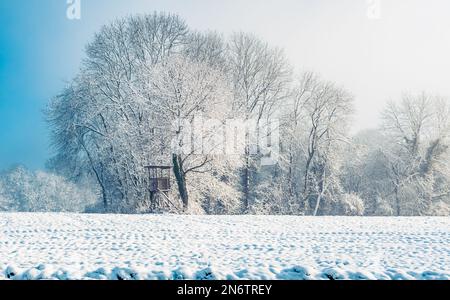 Schneefeld mit Bäumen und hohen Sitzen, Winterlandschaft Stockfoto