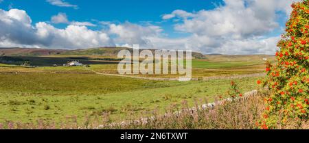 Ein Panoramablick auf Birk Rigg und die gesamte Cronkley Scar bis Widdybank in der Ferne Stockfoto