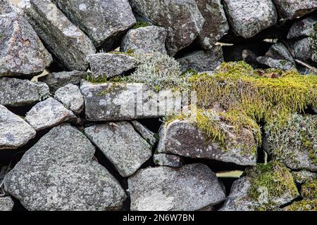 Derbyshire-Dystonwand mit Moos bedeckt Stockfoto