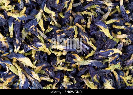 Schmetterlingserbsenblüten Hintergrund. Blauer Kräutertee. Clitoria Ternatea. Draufsicht Stockfoto