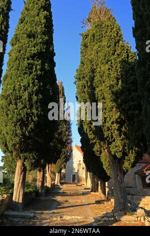 Landschaft des Dorfes Vrisnik auf der Insel Hvar, Kroatien Stockfoto