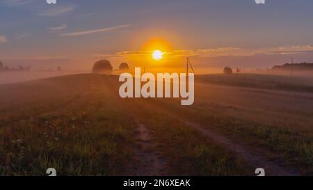 Traumhafte grüne Wiese mit wildem Klee. Abendlandschaft mit Nebel Stockfoto