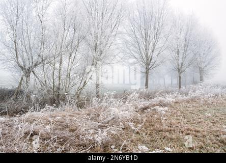 Morgenfrost und Nebel entlang des Flusses cherwell in der landschaft von oxfordshire. Somerton, Oxfordshire, England Stockfoto