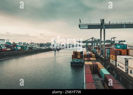 Mannheim, Deutschland - 26.03.2021: Frachtcontainer am Containerterminal des Inlandshafens Mannheim und des Industriegebiets von ??Ludwigshafen in t Stockfoto