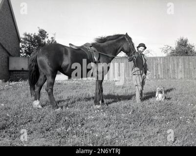 1962, historisches, ländliches Leben....... Eine junge Frau in Cordroy Jodhphurs, Jacke und Krawatte, Schutzhelm, mit ihrem Pferd und einem kleinen Hund neben ihr, in einem geschlossenen grasbewachsenen Paddock, Stetchworth, Newmarket, England, Großbritannien. Stockfoto