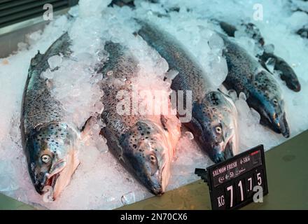 Lachs im Mina District Fish Market, Old Doha Port, Katar Stockfoto