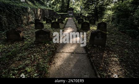 Der Friedhof ist von üppigem Grün umgeben, mit hohen Bäumen, die Schatten über die Grabsteine und Gräber werfen. Stockfoto