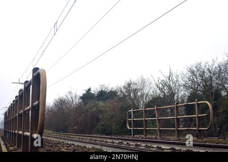Eisenbahn an einem Ufer, umgeben von Bäumen an einem nebligen Tag im Winter Stockfoto