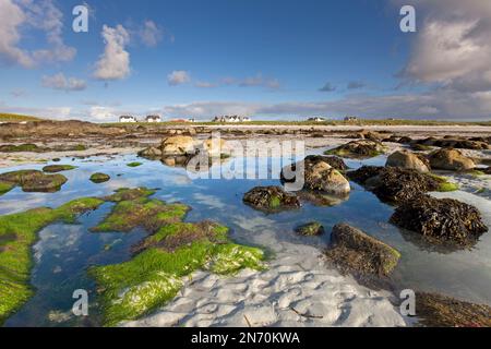 Felsenbecken bei Ebbe in der Nähe des Dorfes Balemartine auf der Insel Tiree, Schottland. Stockfoto