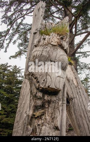 Details zum Leichenschauplatz, S'Gaang Gwaii, Gwaii Haanas Haida Heritage Site, Haida Gwaii, BC Stockfoto