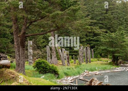 Überreste von Totempfählen in S'Gang Gwaii, UNESCO-Weltkulturerbe (Nistints), Haida Gwaii, BC Stockfoto