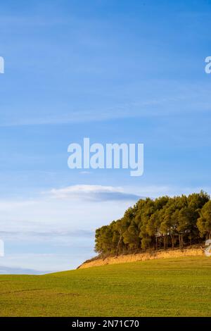 Landschaftsbau in der Provinz Lleida in Katalonien Spanien Stockfoto