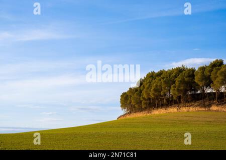 Landschaftsbau in der Provinz Lleida in Katalonien Spanien Stockfoto