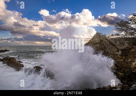 Klippen in einem Camino de Ronda in der Nähe von Palamos und Calonge an der Costa Brava in der Provinz Girona in Katalonien, Spanien Stockfoto