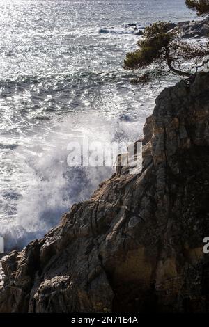 Klippen in einem Camino de Ronda in der Nähe von Palamos und Calonge an der Costa Brava in der Provinz Girona in Katalonien, Spanien Stockfoto