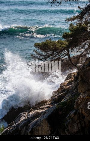 Klippen in einem Camino de Ronda in der Nähe von Palamos und Calonge an der Costa Brava in der Provinz Girona in Katalonien, Spanien Stockfoto