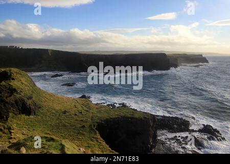 Der Giant's Causeway in Nordirland (County Antrim) ist eines der berühmtesten Wahrzeichen Irlands und UNESCO-Weltkulturerbe Stockfoto