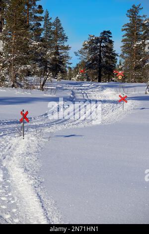 Ein Haufen roter Kreuze auf einem Winterpfad im Bergwald. Stockfoto