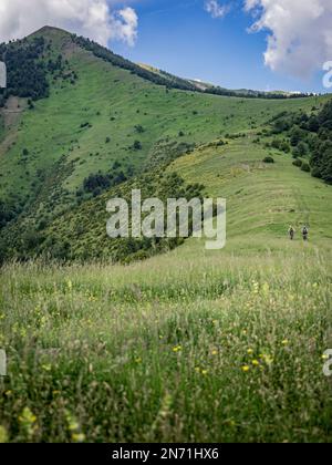 Einmaliger Abstieg vom Berg Pelopín (2, 007m) in Richtung Broto Stockfoto