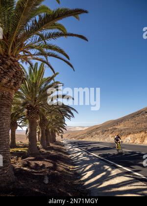 Bergstraße mit Palmen in der Nähe von jara, im Barranco de la Solapa in den zentralen Bergen im Inneren der Insel in nordöstlicher Richtung Stockfoto