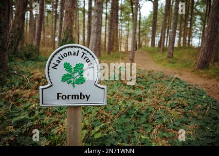 Der Wald des Formby Point National Trust führt durch den Wald und entlang des Strandes Stockfoto