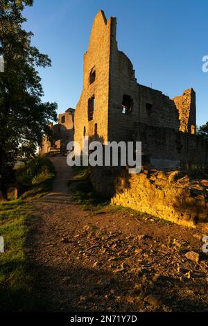 Abendliche Atmosphäre in der Burgruine Homburg und dem Naturschutzgebiet Homburg, Niederfrankreich, Franken, Bayern, Deutschland Stockfoto