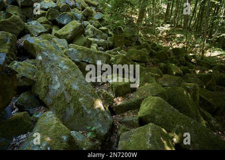 Basaltsäulen im Naturschutzgebiet Gangolfsberg in der Kernzone des Biosphärenreservats Rhön, Bayerischer Rhön, Bezirk Rhön-Grabfeld, Niederfrankien, Bayern, Deutschland Stockfoto