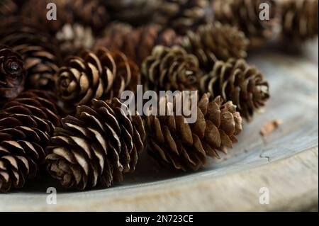 Lärchkegel in einer alten Holzschüssel, Dekoration mit natürlichen Materialien Stockfoto