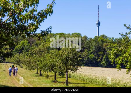 Blick auf den Fernsehturm in Stuttgart-Degerloch von Plieningen über die Felder, Stuttgart, Baden-Württemberg. Stockfoto