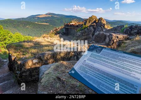 Vogesen-Berge, Schützengräben bei Hartmannswillerkopf (Vieil Armand, Hartmannsweiler Kopf), Nationaldenkmal, Anblick des Ersten Weltkriegs für die Kämpfe, die hier in den Schützengräben stattfanden, Blick auf den Großen Ballon (Großer Belchen), Besucher im Elsass, Haut-Rhin (Oberelsass), Frankreich Stockfoto