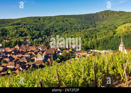 Andlau, Dorf Andlau, Weinberge, Vogesen im Elsass, Bas-Rhin (Unterelsass), Frankreich Stockfoto