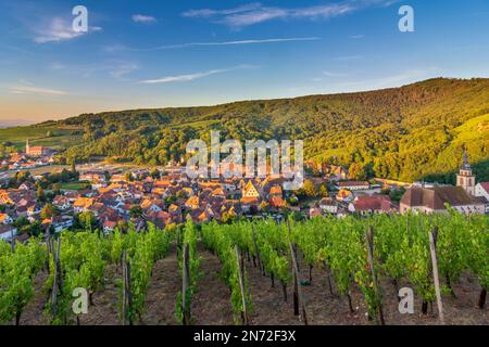 Andlau, Dorf Andlau, Weinberge, Vogesen im Elsass, Bas-Rhin (Unterelsass), Frankreich Stockfoto