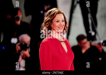 Il Cast di Master Gardener sul Red Teppich de La Biennale di Venezia 2022, Venezia, Italien Stockfoto