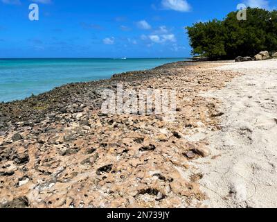 Vulkangestein entlang der Küste, Eagle Beach, Aruba Stockfoto