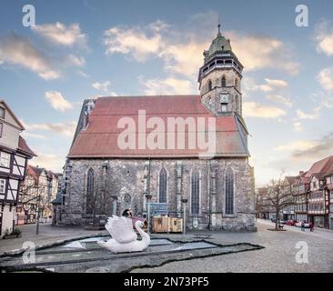 Hannoversch Münden, Altstadt, drei Flüsse Stadt, Kirche, großer Schwan, Niedersachsen, Deutschland Stockfoto