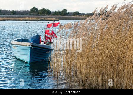 Darsser Ort Notfallhafen, Fischerboot, winkende rote Bojenflaggen, Schilf Stockfoto