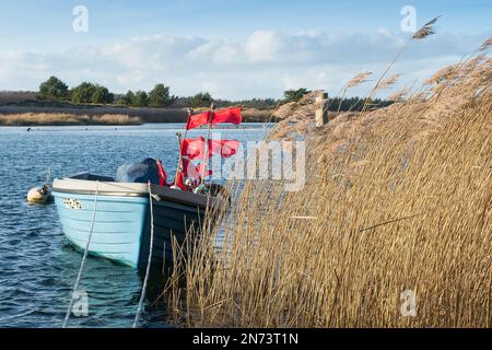 Ostsee, Notfallhafen Darßer Ort, Fischerboot, mit roten Bojen wedeln, Schilf Stockfoto