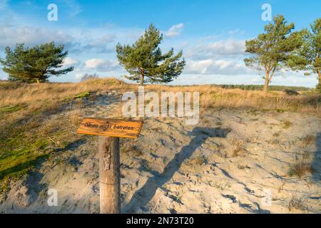 Nationalpark Vorpommersche Boddenlandschaft, Rundwanderweg Darßer Ort, Schild „Dünen nicht betreten“. Stockfoto