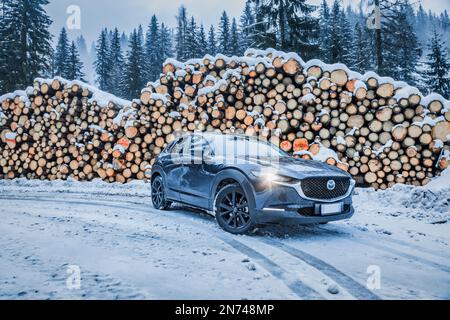 Italien, Veneto, Belluno, Mazda Motor Corp CX-30 Crossover Sport Utility Vehicle (SUV) im Winter in der Nähe eines Haufens Tannenstämme in den Dolomiten geparkt Stockfoto