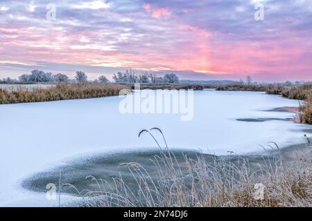 Morgenglühen an einem frostigen Wintermorgen im Elbvorland im Elbtal bei Bleckede/Brackede in Niedersachsen Stockfoto