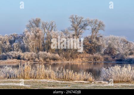 Reflexion über das Wasser der Elbe an einem sonnigen Wintermorgen mit Heiserfrost im Elbtalaue bei Bleckede/Brackede in Niedersachsen Stockfoto