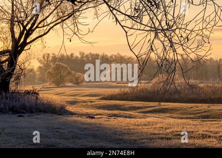 Ein sonniger Wintermorgen im Elbvorland Niedersachsens Elbtalaue bei Bleckede/Brackede Stockfoto