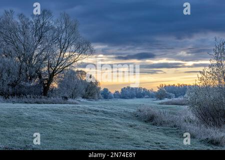 Ein Wintermorgen mit Heifrost im Elbvorland Niedersachsen Elbtalaue bei Bleckede/Brackede Stockfoto