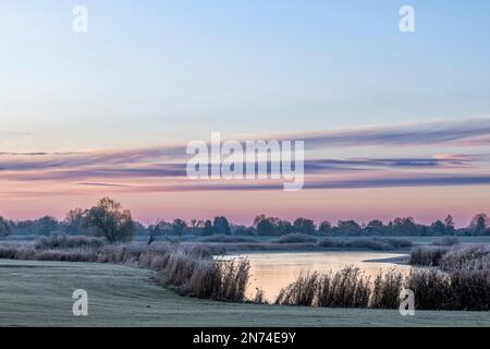 Morgenglühen an einem frostigen Wintermorgen im Elbvorland im Elbtal bei Bleckede/Brackede, Niedersachsen Stockfoto